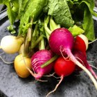 Closeup view of Multi-colored radishes on a plate — Stock Photo