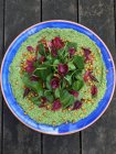 Humus spinaci con cipolle rosse, vista dall'alto — Foto stock