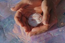 Closeup view of Woman hands holding a seashell — Stock Photo