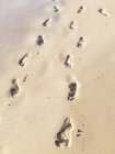 Malerischer Blick auf Fußabdrücke im Sand, Seychellen — Stockfoto