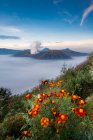Vue panoramique sur le majestueux mont Bromo, Indonésie — Photo de stock