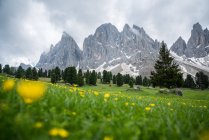 Vista panorâmica dos picos da montanha, Puez Geisler Nature Park, Dolomites, Trentino, Tirol do Sul, Itália — Fotografia de Stock