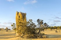 Живописный вид на Пэклз, Национальный парк Намбо, Западная Австралия, Австралия — стоковое фото