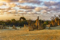 Scenic view of The Pinnacles at sunset, Nambung National Park, Western Australia, Australia — Stock Photo
