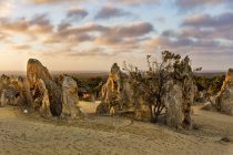 Vista panorámica de The Pinnacles al atardecer, Parque Nacional Nambung, Australia Occidental, Australia - foto de stock