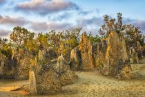 Los pináculos al atardecer, Parque Nacional Nambung, Australia Occidental, Australia - foto de stock