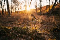 Мальчик, гуляющий по лесу осенью, США — стоковое фото