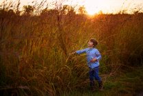 Boy playing in the long grass at sunset, Stati Uniti — Foto stock