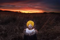 Передній вигляд дівчини, що стоїть на полі, дивиться на захід сонця, Сполучені Штати Америки. — стокове фото