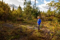Boy standing in a forest in summer, Lake Superior Provincial Park, Estados Unidos — Fotografia de Stock