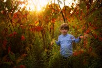 Boy walking through sumac field at sunset, Stati Uniti — Foto stock