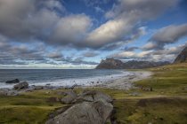 Мальовничий вид на пляж Uttakleiv, Vestvagoy, прибуття, Nordland, Норвегія — стокове фото
