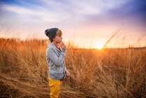 Boy standing in a field at sunset chewing a piece of long grass, United States - foto de stock