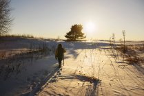 Boy walking through a field in winter snow, États-Unis — Photo de stock