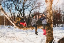 Três crianças escalando uma árvore na neve, Estados Unidos — Fotografia de Stock