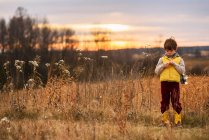 Boy standing in a field looking at his hands, United States — Stock Photo