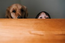 Fille se cachant derrière une table avec son chien — Photo de stock