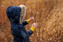 Chica de pie en un campo recogiendo hierba larga, Estados Unidos - foto de stock