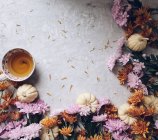 Tasse Tee, Kürbisse und Herbstblumen — Stockfoto