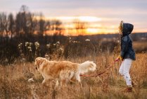 Chica llevando a su perro a dar un paseo, Estados Unidos - foto de stock