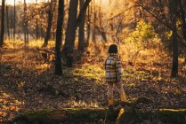 Garçon marchant dans les bois en automne, États-Unis — Photo de stock