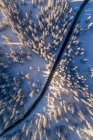 Aerial view of snow covered forest at sunset, Berchtesgaden, Bavaria, Germany — Stock Photo