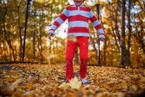 Happy Boy jumping on a trampoline covered in autumn leaves, United States — Stock Photo