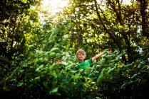 Портрет мальчика на дереве, США — стоковое фото
