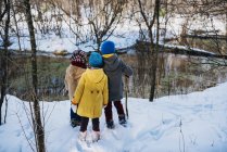 Tres niños de pie junto a un lago congelado, Estados Unidos - foto de stock