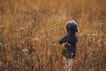 Vista trasera de una chica de pie en un campo, Estados Unidos - foto de stock
