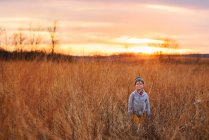 Boy standing in a field at sunset, United States — Stock Photo