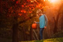 Мальчик, стоящий в саду с тыквой, США — стоковое фото