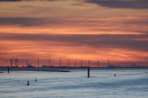 Vue panoramique du parc éolien le long du Dollard, Frise orientale, Basse-Saxe, Allemagne — Photo de stock