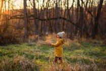 Menina andando na floresta no outono, Estados Unidos — Fotografia de Stock