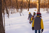 Drei Kinder, die mit ihrem Hund durch einen Wald im Schnee spazieren, Vereinigte Staaten — Stockfoto