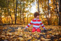 Мальчик сидит на батуте, покрытом осенними листьями, США — стоковое фото