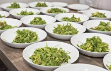 Plates of avocado salad with yogurt dressing — Stock Photo