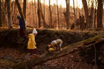 Троє дітей бавляться в лісі (США). — стокове фото