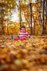 Niño sentado en un trampolín cubierto de hojas de otoño, Estados Unidos - foto de stock