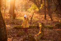 Chica caminando en el bosque en otoño, Estados Unidos - foto de stock