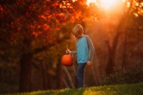 Boy standing in a garden holding a pumpkin, United states — Stock Photo