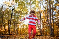 Niño de pie en un trampolín cubierto de hojas de otoño, Estados Unidos - foto de stock