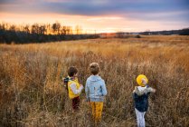 Tres niños de pie en un campo al atardecer, Estados Unidos - foto de stock