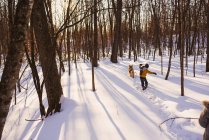 Boy and girl walking through a forest in the snow with his dog, United States — Stock Photo