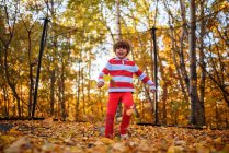 Niño de pie en un trampolín cubierto de hojas de otoño, Estados Unidos - foto de stock