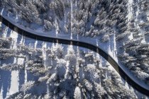 Luftaufnahme einer Straße, die sich durch schneebedeckte Bäume in den österreichischen Alpen schlängelt. — Stockfoto