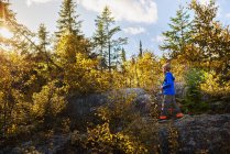 Boy senderismo a través de un bosque, Lago Superior Provincial Park, Estados Unidos - foto de stock