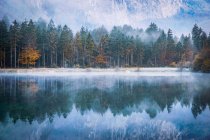 Reflexiones forestales de otoño en un lago, Bluntautal cerca de Golling, Salzburgo, Austria - foto de stock