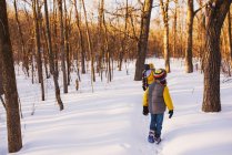 Tre bambini che camminano attraverso una foresta nella neve, Stati Uniti — Foto stock
