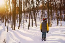 Мальчик, стоящий в снежном лесу, США — стоковое фото